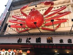 -蟹道乐(網元別館店)