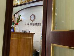 -宠爱国际动物医院·消化内科·心肾内科·ISFM猫友好(望京店)