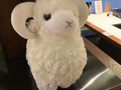 -九府羊·鲜羊火锅·烤串(新华路店)