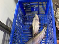 -笑红饭庄