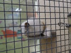 -三旗百汇商品城