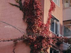 -十一咖啡(青年大街工厂店)