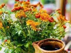 -马帮菜馆·美味野生菌