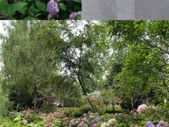 -合肥滨湖国家森林公园