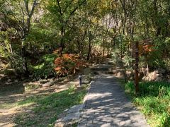 -云峰山自然风景区