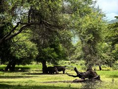 -卡塞拉自然公园