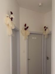 -ST时柒·问题肌抗衰美颜所