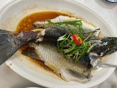 清蒸鲩鱼-津津名菜馆(绝没分店)
