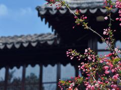 -留园