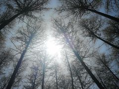 -硗碛藏寨·神木垒景区