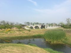 -尚贤河湿地