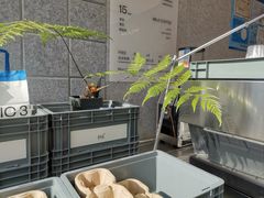 -CUBIC3三立方咖啡(凌空SOHO店)