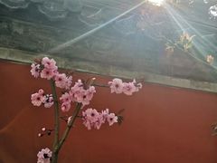-红楼梦邮局