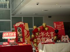 -上海浦东国际机场-T2航站楼