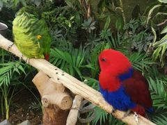 -南宫五洲植物乐园