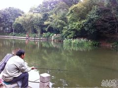 -人民公园(罗湖区)