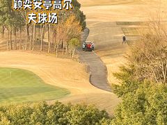 -颖奕安亭高尔夫俱乐部