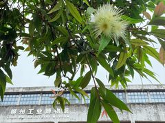 -柳州工业博物馆