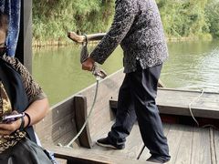 -溱湖国家湿地公园