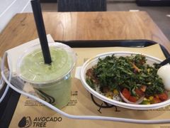 -油梨树 AVOCADO TREE(亮马桥店)
