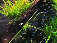 -上海海洋水族馆