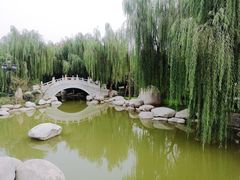 -西安青龙寺遗址景区