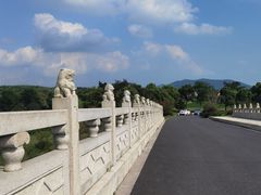 -西京湾花海