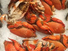 -亮马河饭店翠雅咖啡厅