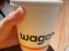 -Wagas沃歌斯(港汇恒隆广场店)