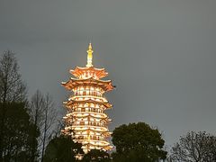 -洋湖国家湿地公园