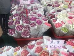 -溪岸路花鸟市场