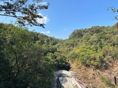 -广州白江湖森林公园