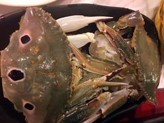 -鲜入围煮花胶鸡海鲜火锅