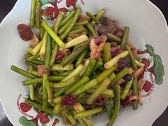 -照金特色农家乐