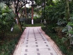 -青城道汤池