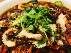 -鸽鸟轩(石岐店)