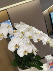 -Yestar杭州艺星医疗美容医院