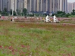 -汉江湾体育公园