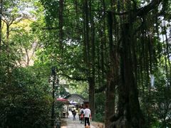 -小洲村