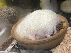 -嘉兴海底世界
