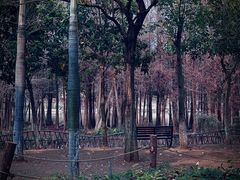 -厦门园林博览苑