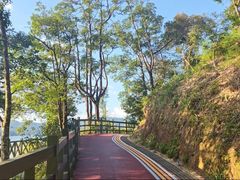 -广州市流溪河国家森林公园