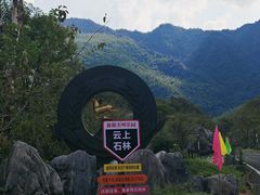 -千岛湖石林