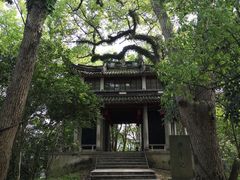 -溪口-滕头旅游景区