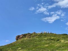 -御道口草原森林风景区
