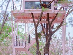 -福建鲤鱼洲酒店