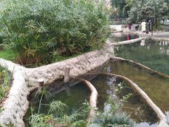 -成都市活水公园