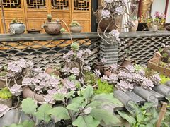 -古大圣慈寺