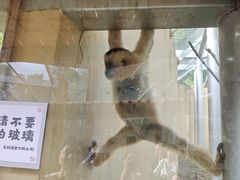 -合肥野生动物园