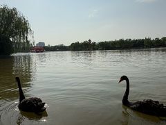 -洛阳市隋唐城遗址植物园
